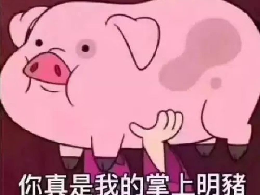 3、歲月是豬的飼料，我已經(jīng)吃夠了。下一句該說什么