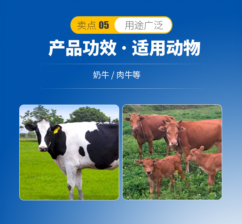 3、奶牛用青貯飼料生產(chǎn)的關(guān)鍵，奶牛用青貯飼料如何制作？ 