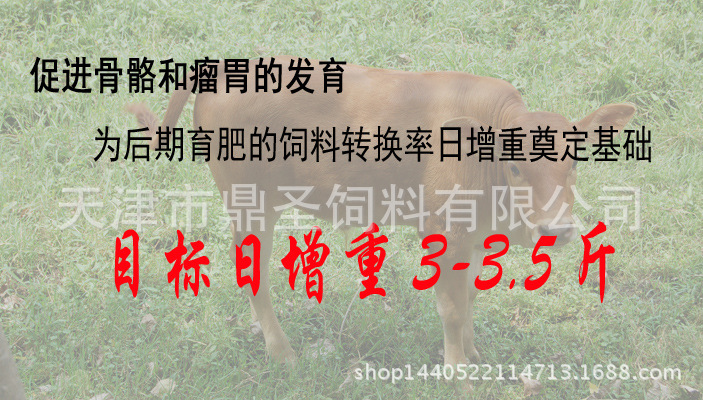2、育肥牛每天需要多少飼料/肉牛每天吃多少飼料
