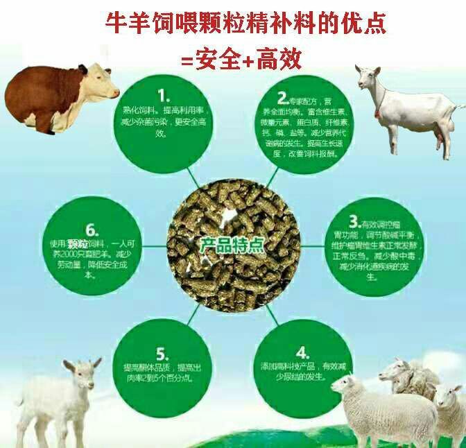 二、維生素、微量元素―――添加劑預(yù)混料